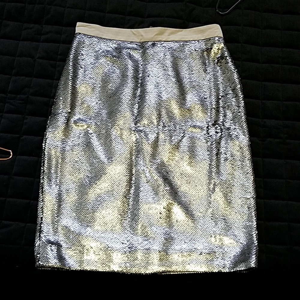 Sequin Skirt